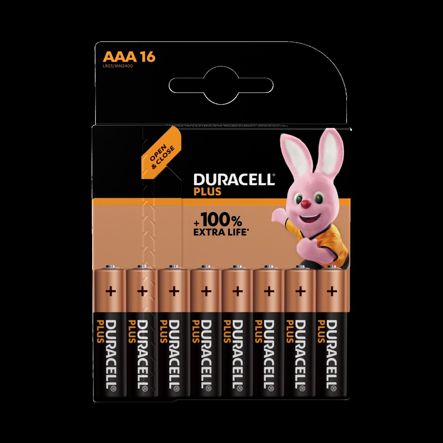 MN2400 Duracell Plus Mainline 100% 